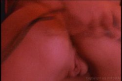 'Fantasy Ltd' screenshot nº 93