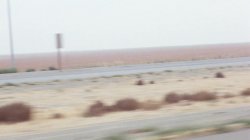 'Carnal Highways' screenshot nº 38