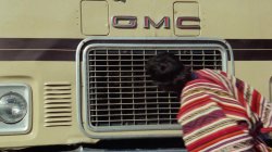 'Carnal Highways' screenshot nº 2