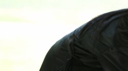 Captura de 'Massive Mammaries 4' nº 37