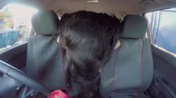 'Fake Driving School Volume 10' screenshot nº 23