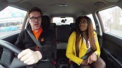 'Fake Driving School Volume 10' screenshot nº 75