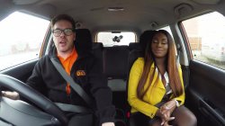 'Fake Driving School Volume 10' screenshot nº 76