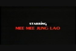 Captura de 'Viet Tran!' nº 3