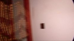 'Roxy's World' screenshot nº 41