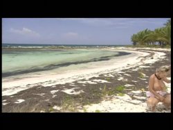 Captura de 'Beach Blondes' nº 9