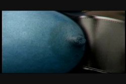 Captura de 'Real Big Afro Tits' nº 99