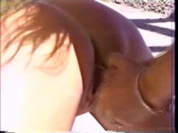 Captura de 'Deep Inside Teri Weigel 2' nº 59