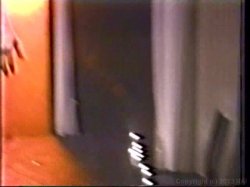 Captura de 'Deep Inside Teri Weigel 2' nº 68