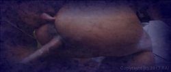 Captura de 'Phat Azz Brazilian Orgy 5' nº 2