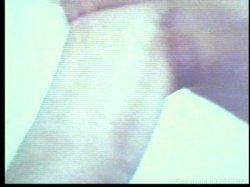 'Velvet' screenshot nº 61