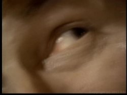 'Velvet' screenshot nº 10