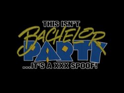 'This Isn't Bachelor Party ...' screenshot nº 1