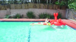 'Summer Sluts' screenshot nº 34