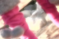 Captura de 'I Cum For You U Cum For Me 2' nº 84