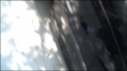 Captura de 'Back 2 USA' nº 4