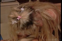 'Naughty Nurses 6' screenshot nº 63