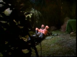 'Anal Madness 2' screenshot nº 10