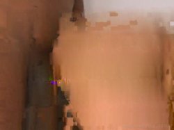 'Diesel Dongs Vol. 12' screenshot nº 41