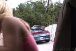 'Whale Tail #3' screenshot nº 7