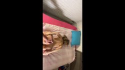'Horny Amateurs Getting Fucked POV & Takings Loads of Cum' screenshot nº 56