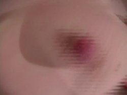 'Kayla Paige Jerk off Instructions Pantyhose #1' screenshot nº 104