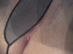 Captura de 'Crazy! Sexy! Pantyhose Babes! Frenzy Style #2' nº 60