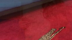 'My First Lesbian Sex 5' screenshot nº 28
