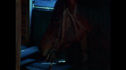 Captura de 'Sensuous Fly Girls' nº 54
