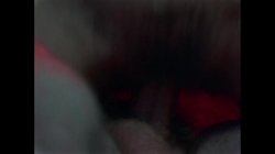 Captura de 'Sensuous Fly Girls' nº 56