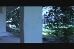 Captura de 'Seymore Butts' Squirting Sophie, Gaping Gwen' nº 128