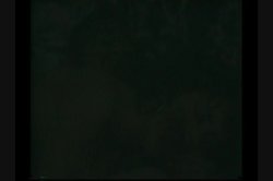 'Ron Hightower's White Chicks Vol. 6' screenshot nº 2