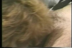 '69 Minutes - Evening News' screenshot nº 45