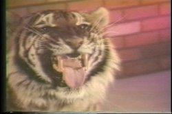 '69 Minutes - Evening News' screenshot nº 32