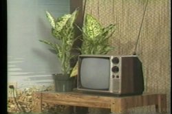 'Sultry Stewardesses' screenshot nº 6