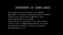 'Gold Diggin' MILFs 2' screenshot nº 1