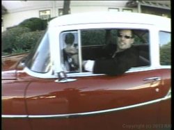 'Hot Bods & Tail Pipe Vol.1' screenshot nº 41