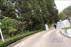 'Boz' screenshot nº 2