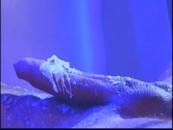 Captura de 'Extreme Behavior 4' nº 36