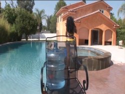 'Wet Juicy Asses 5' screenshot nº 7