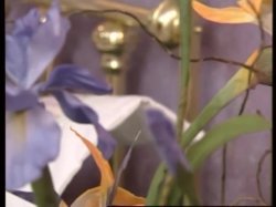 'The Goddess Of Love 2' screenshot nº 128
