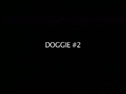 'Playing with Daisy' screenshot nº 140