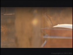 Captura de 'Highway (Wicked Pictures)' nº 58