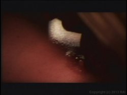 Captura de 'Highway (Wicked Pictures)' nº 106