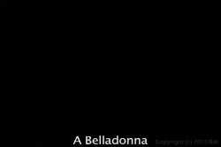Captura de 'Discovering Alexis Texas' nº 137