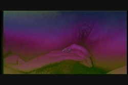 Captura de 'Puritan Video Magazine 23' nº 112