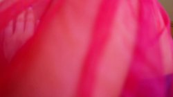 Captura de 'Piece From The Middle East' nº 13