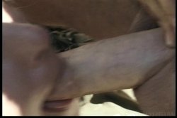 'Planet X 3' screenshot nº 104