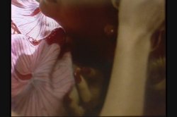 'Deep Inside Rachel Ashley' screenshot nº 119