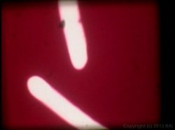 Captura de 'John Holmes: The Man, the Myth, the Legend (Uncensored)' nº 37